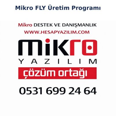 mikro fly üretim programı