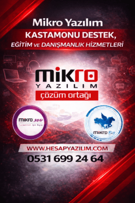 Mikro Yazılım Kastamonu Destek Eğitim ve Danışmanlık Hizmetleri