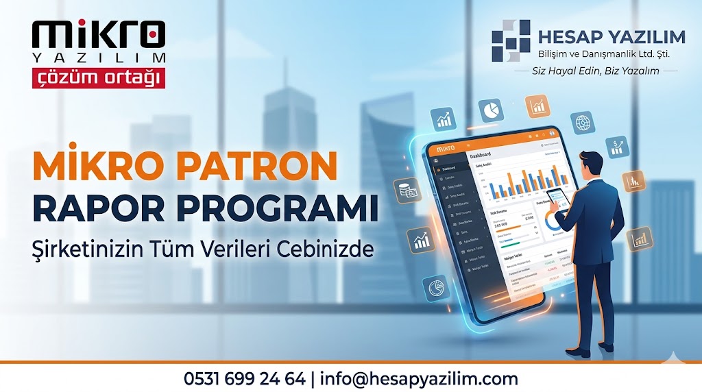 mikro yazılım patron rapor programı