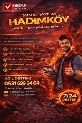 mikro yazılım hadımköy destek ve danışmanlık hizmetleri