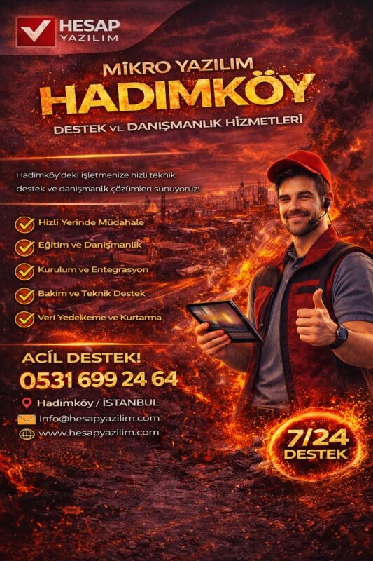 mikro yazılım hadımköy destek ve danışmanlık hizmetleri