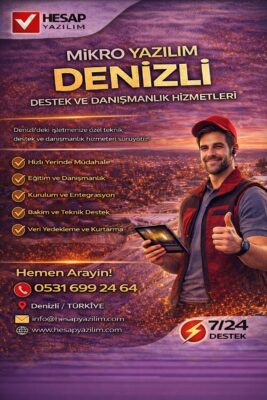 mikro yazılım denizli destek ve danışmanlık hizmetleri