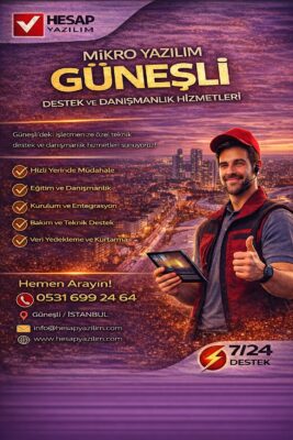 mikro yazılım güneşli destek ve danışmanlık hizmetleri